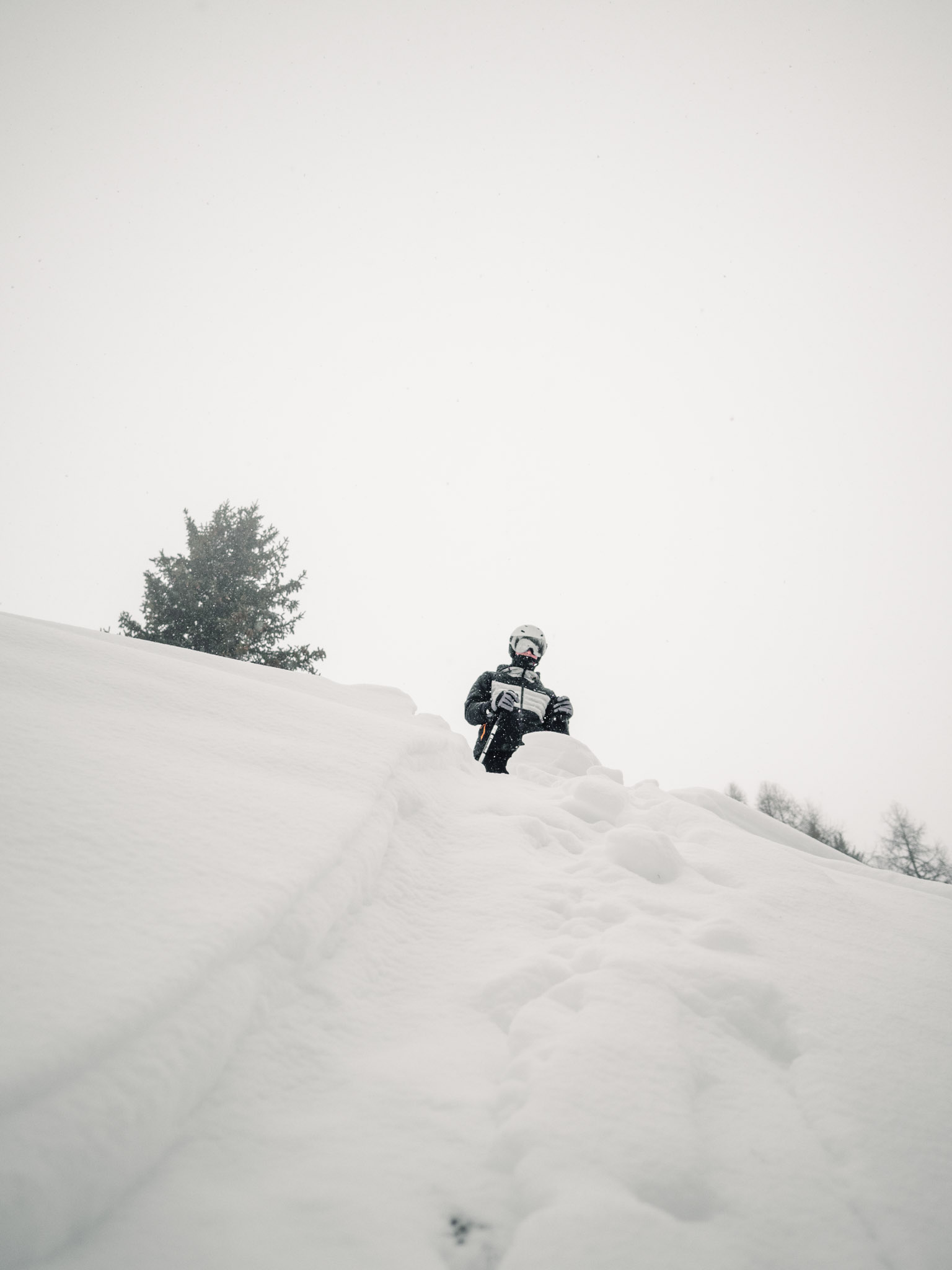 Hiver 2025