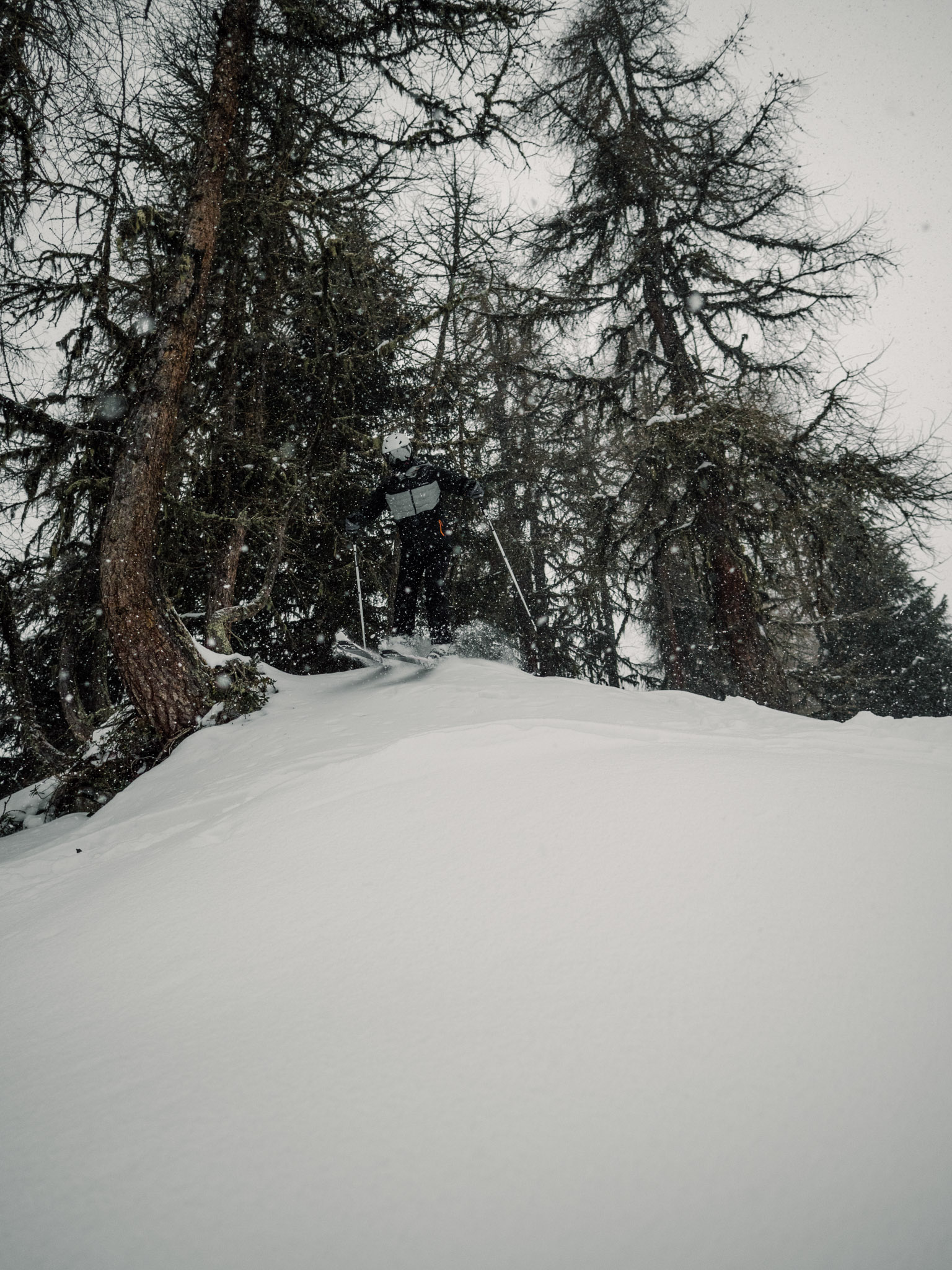 Hiver 2025